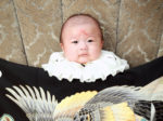 産着をつけての赤ちゃん１人写真