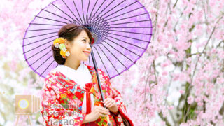 桜の開花時期にあわせたロケーション撮影が人気！　京都大学