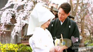 SAKURAウェディング　京都・祇園白川