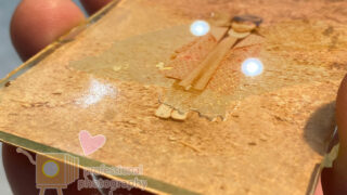 お写真ドクター　お持ち込みになった原版