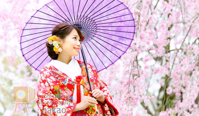 桜の開花時期にあわせたロケーション撮影が人気! 京都大学